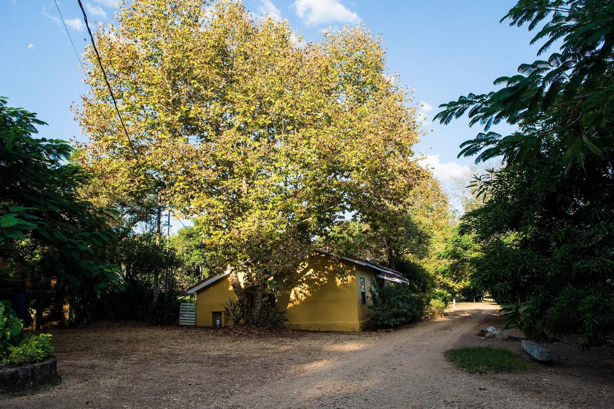Fazenda Santa Thereza - איטאפירה מראה חיצוני תמונה