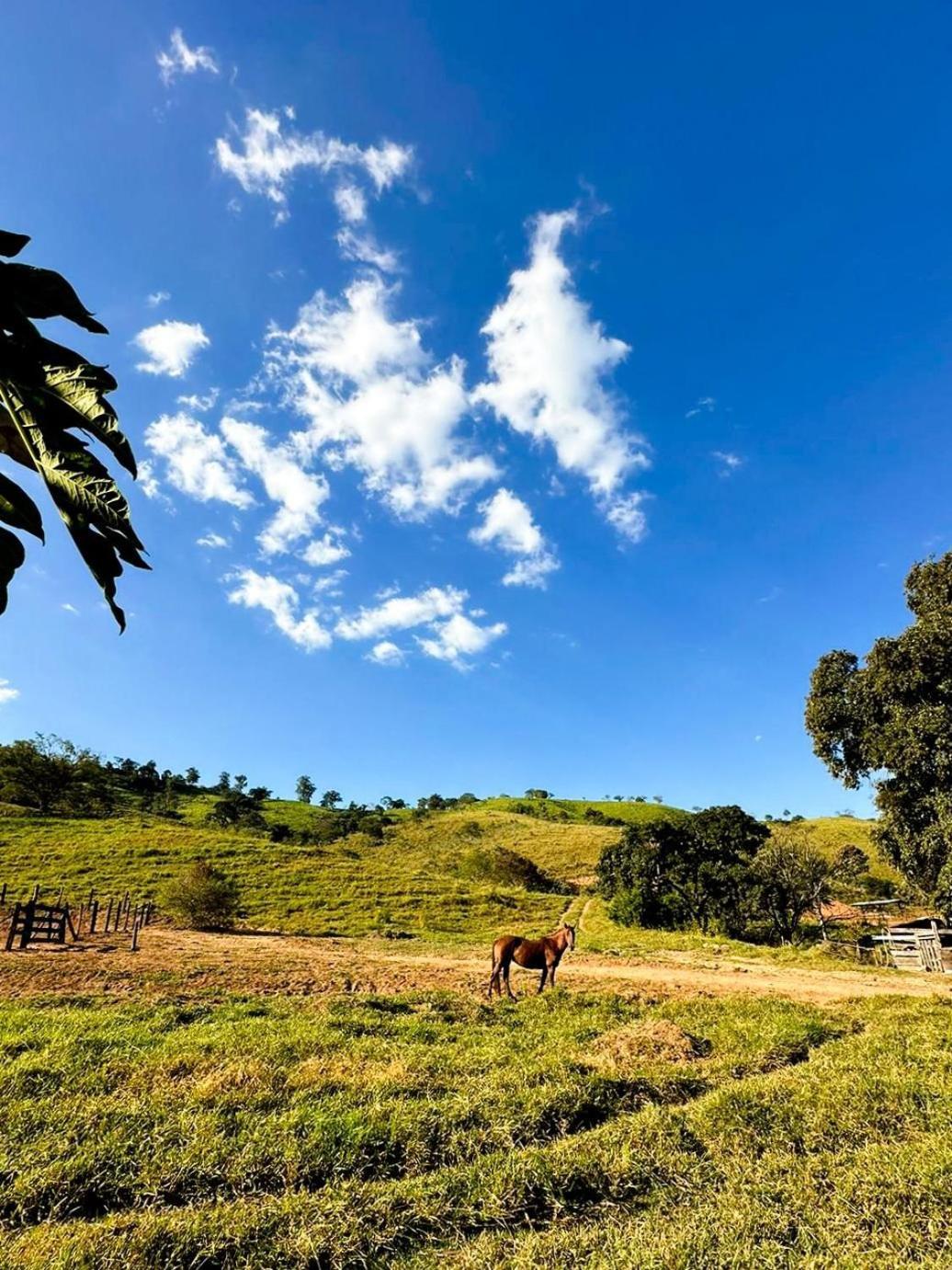 Fazenda Santa Thereza - איטאפירה מראה חיצוני תמונה